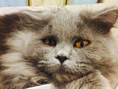 -小时光咖啡馆(开森度假森林店)