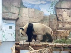 -无锡动物园·太湖欢乐园