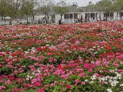 -盈香心动乐园