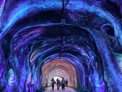 -栾川竹海野生动物园