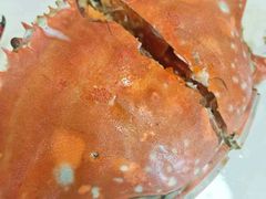 -北塘海鲜·天津菜(大光明桥旗舰店)