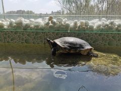 -仙林宾馆-餐厅