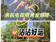 -杭州电子科技大学(下沙校区)