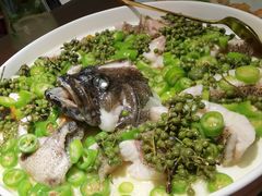 青青椒麻龙胆鱼-CHIC1699远洋私厨