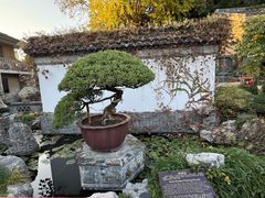 -水绘园