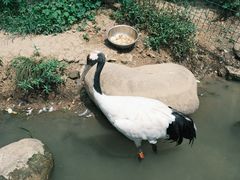 -武汉动物园