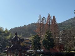 -冶父山国家森林公园