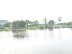 -新江湾城公园