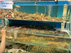 -仙螺岛海鲜自助餐厅(总店)