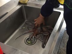 -渔鼎鲜海鲜餐厅(湄洲岛店)