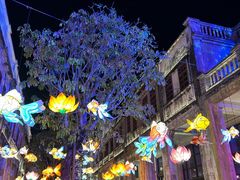 -赤坎·广东华侨国际旅游度假区