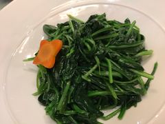 荠菜-金台食府(夕照寺店)