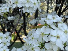 -长春市南湖公园