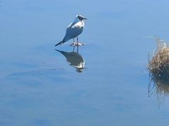 -花湖生态旅游区