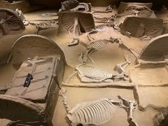 -洛阳周王城天子驾六博物馆