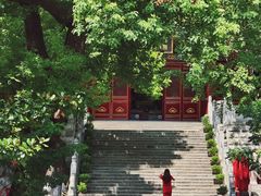 -宝通禅寺