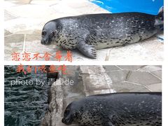 -华夏文旅海洋公园