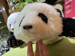 -轩客会(熊猫书店)