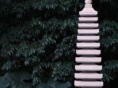 -深圳国际园林花卉博览园