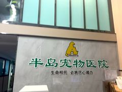 -半岛宠物医院24小时(科华中路店)