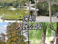 -人民公园(罗湖区)