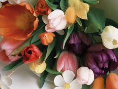 -花生FM_FLOWERS