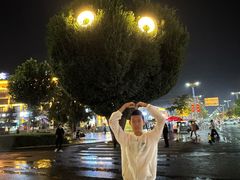 -特克斯八卦城