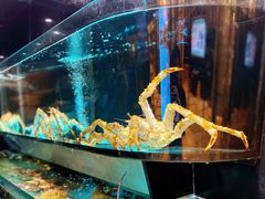 -金翠皇宫粤菜·点心·海鲜(科技园店)
