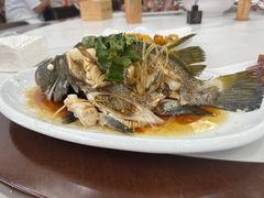 清蒸包公鱼-常家活海鲜小吃(仅一家无分店)