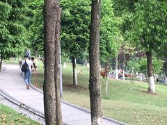 -重庆市江北嘴中央商务区中央公园