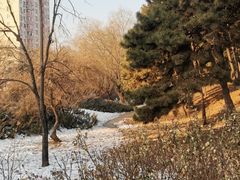 -元大都城垣遗址公园