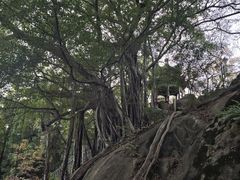 -乌山风景区