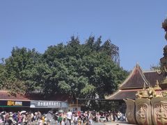 -西双版纳勐泐文化旅游区