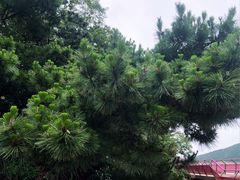 -宁波松兰山滨海旅游度假区