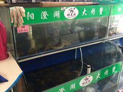 -阳澄湖大闸蟹·琼灵阁牌品牌连锁(吴中总店)