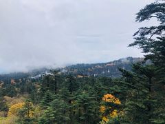 -峨眉山风景名胜区