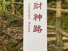 -南丹山森林王国