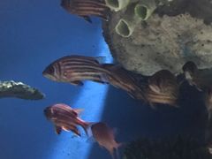 -福州罗源湾海洋世界旅游区