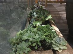 -往来·竹里.宝宝宴.生日宴.团建.宴席(花乡农居店)