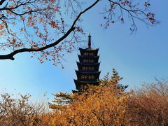 -上海方塔园