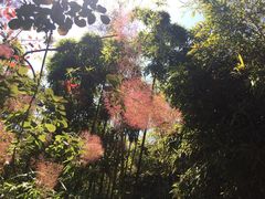 -唐城墙遗址公园