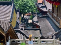 -野蔓果·山野菜(西湖景区·龙井茶田店)