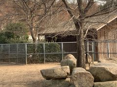 -上方山森林动物世界