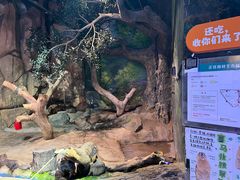 -正佳雨林生态植物园