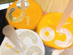 -CoCo都可(骆家庄新店)