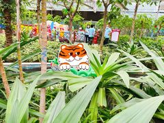 -南宫五洲植物乐园