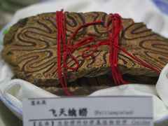 -广东中医药博物馆