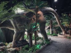 -恐龙探索乐园(磁器口店)