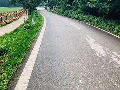 -武陵山森林公园