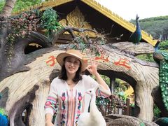 -西双版纳原始森林公园